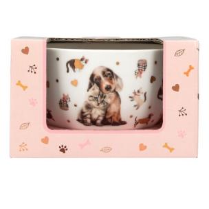 Opakowanie Miseczka w ozdobnym pudełku Top Model Fur Ever Friends 13867A