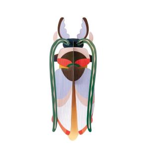 Opakowanie Model kartonowy 3D Wall Art - Beettles. Cosmos