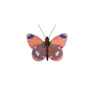 Opakowanie Model kartonowy 3D Wall Art - Delias Butterfly