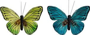 Opakowanie Motyle z klipsem 2szt