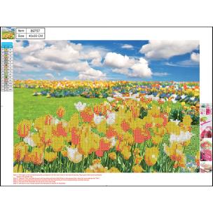 Mozaika diamentowa 5D kit 30x40 cm FLOWER FIELDS 89757 CENTRUM. Wydawca: Panta Plast. Multiszop.pl Opakowanie Mozaika diamentowa 5D kit 30x40 cm FLOWER FIELDS 89757 CENTRUM