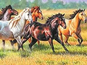Opakowanie Mozaika diamentowa konie 30x40cm