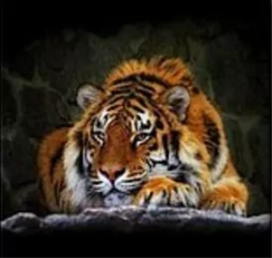 Opakowanie Mozaika diamentowa tygrys