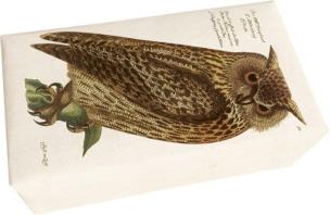 Mydło 200g zapach leśny. Wydawca: Skona Ting. Multiszop.pl Opakowanie Mydło 200g zapach leśny