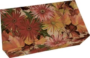 Mydło 200g zapach pomarańczowy. Wydawca: Skona Ting. Multiszop.pl Opakowanie Mydło 200g zapach pomarańczowy