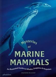 Mysteries of Marine Mammals. An Illustrated Guide to Whales, Dolphins, and Porpoises. Autor: Amandine Delaunay. Multiszop.pl Okładka książki Mysteries of Marine Mammals. An Illustrated Guide to Whales, Dolphins, and Porpoises