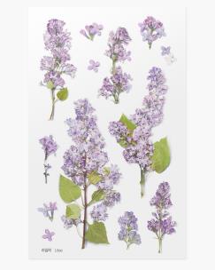 Opakowanie Naklejki ozdobne kwiaty Bez Lilak