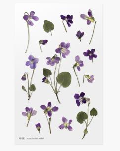 Opakowanie Naklejki ozdobne kwiaty Fiołek