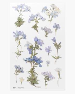 Opakowanie Naklejki ozdobne kwiaty Floks