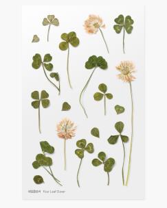 Opakowanie Naklejki ozdobne kwiaty Koniczyna