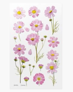 Opakowanie Naklejki ozdobne kwiaty Kosmos Aster