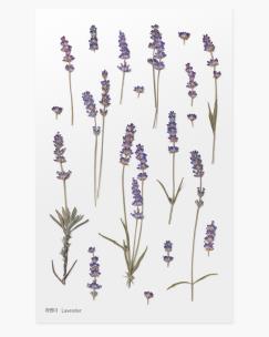 Opakowanie Naklejki ozdobne kwiaty Lawenda