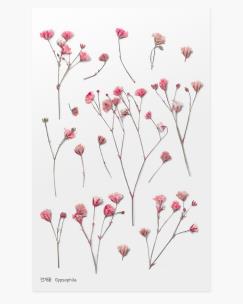 Opakowanie Naklejki ozdobne kwiaty Łyszczec