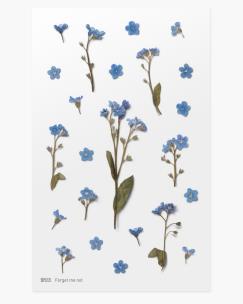 Opakowanie Naklejki ozdobne kwiaty Niezapominajki