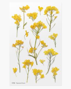 Opakowanie Naklejki ozdobne kwiaty Rzepak