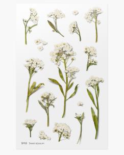 Opakowanie Naklejki ozdobne kwiaty Smagliczka