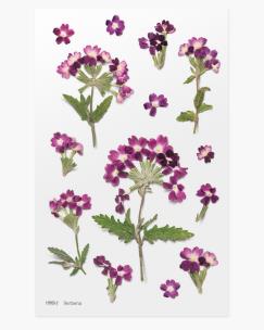 Opakowanie Naklejki ozdobne kwiaty Werbena