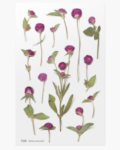 Opakowanie Naklejki ozdobne kwiaty Wiecznik kulisty