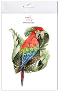 Opakowanie Naprasowanki Ara zielonoskrzydła