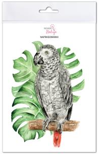 Opakowanie Naprasowanki Żako