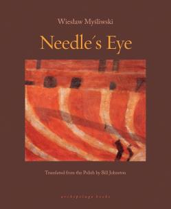 Needle's Eye. Autor: Wieslaw Mysliwski, Bill Johnston. Multiszop.pl Okładka książki Needle's Eye