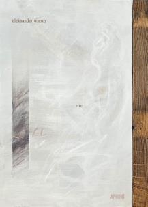 Okładka książki Nie