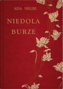 Okładka książki Niedola burze