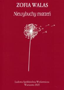 Niewybuchy marzeń. Autor: Zofia Walas. Multiszop.pl Okładka książki Niewybuchy marzeń