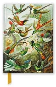 Notatnik A6 linia TW Kolibry Ernst Haeckel. Wydawca: Flame Tree. Multiszop.pl Opakowanie Notatnik A6 linia TW Kolibry Ernst Haeckel