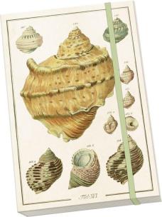 Opakowanie Notatnik ozdobny A5 STNOTE 135 Muszle