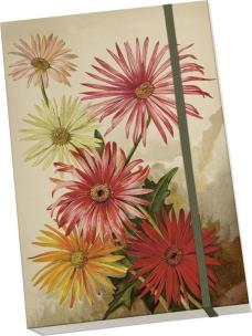 Opakowanie Notatnik ozdobny A5 STNOTE 139 Gerbery