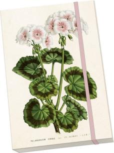 Opakowanie Notatnik ozdobny A5 STNOTE 148 Biała pelargonia