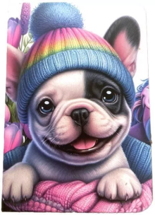 Opakowanie Notatnik ozdobny A7/48K gładki TW Piesek w czapce