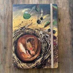 Opakowanie Notatnik z gumką A5 LCN37 Koszatka