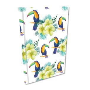 Opakowanie Notes A5 kratka Soft Touch Egzotyczne Tukany