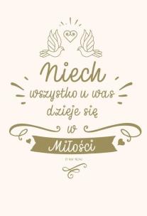 Okładka książki NT z infografikami B5 srebrne tł. Ślub