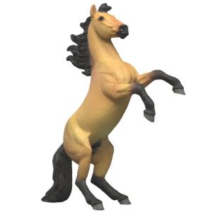Opakowanie Ogier rasy mustang