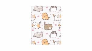 Okładka na dokumenty ucznia pion kittens. Wydawca: biurfol. Multiszop.pl Opakowanie Okładka na dokumenty ucznia pion kittens