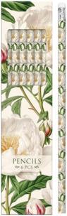 Opakowanie Ołówki ozdobne STPEN55 biała piwonia 6szt