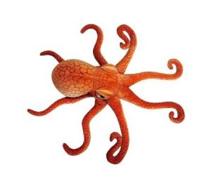 Opakowanie Ośmiornica 47cm