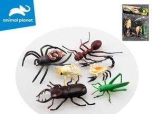 Opakowanie Owady 3x19x4cm 6szt