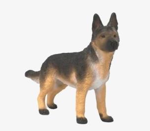 Opakowanie Owczarek niemiecki suczka