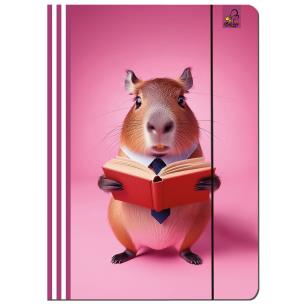 Opakowanie Paczka Teczka A4 z gumką Kapibara różowa  5 sztuk