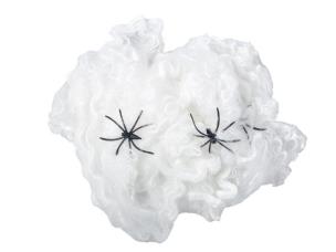 Opakowanie Pajęczyna świecąca z pająkiem 28g