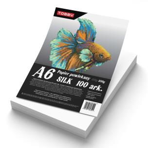 Opakowanie Papier A6 powlekany kredowany 100 ark.350g