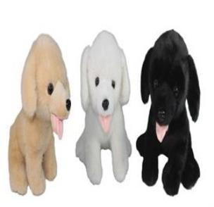 Opakowanie Pies 26x36cm MIX