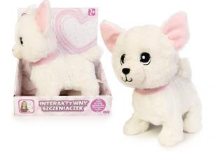 Opakowanie Pies chodzący mix