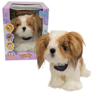 Opakowanie Piesek Shih Tzu