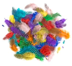Piórka bażanta 4-7cm 10g brights. Wydawca: Dalprint. Multiszop.pl Opakowanie Piórka bażanta 4-7cm 10g brights
