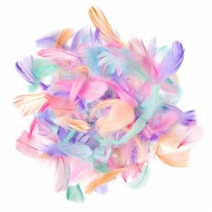 Opakowanie Piórka macaron 4-8cm 10g